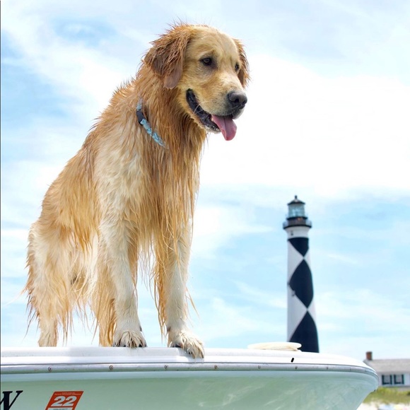 Meet your Posher, Trey - Picture 1 of 1